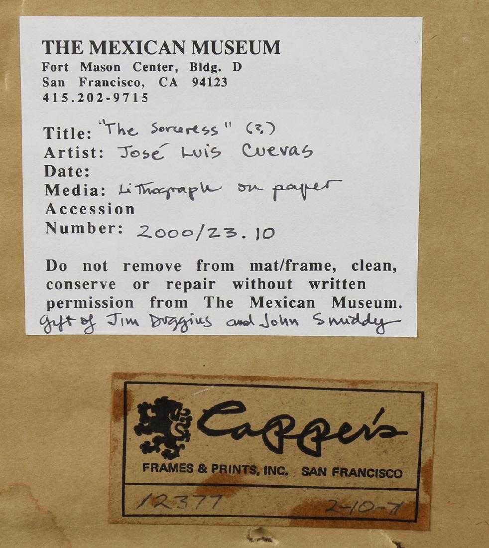 Mexican Museum of San Francisco Info Sheet